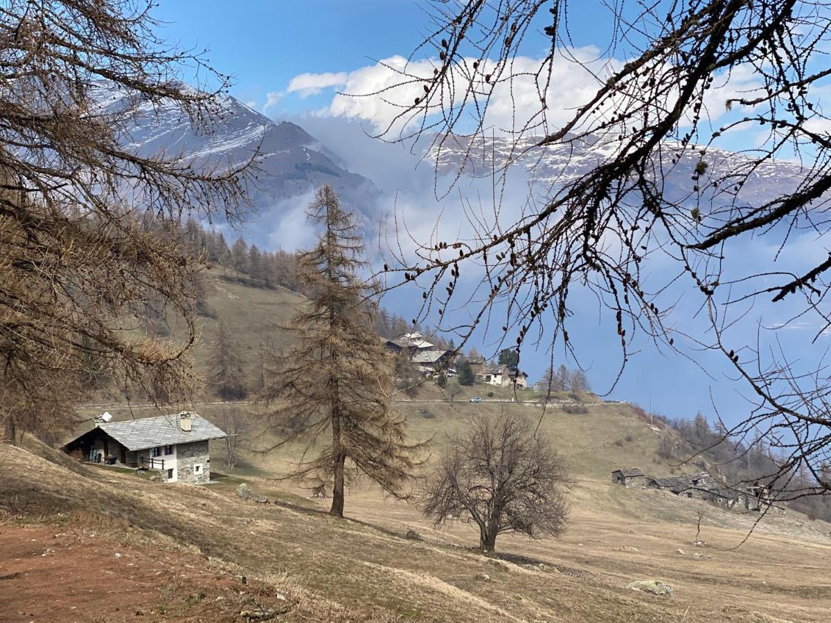 Ferienhaus L'oasi Di Sodani 2 Sampeire
